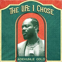 Cover of The Life I Chose