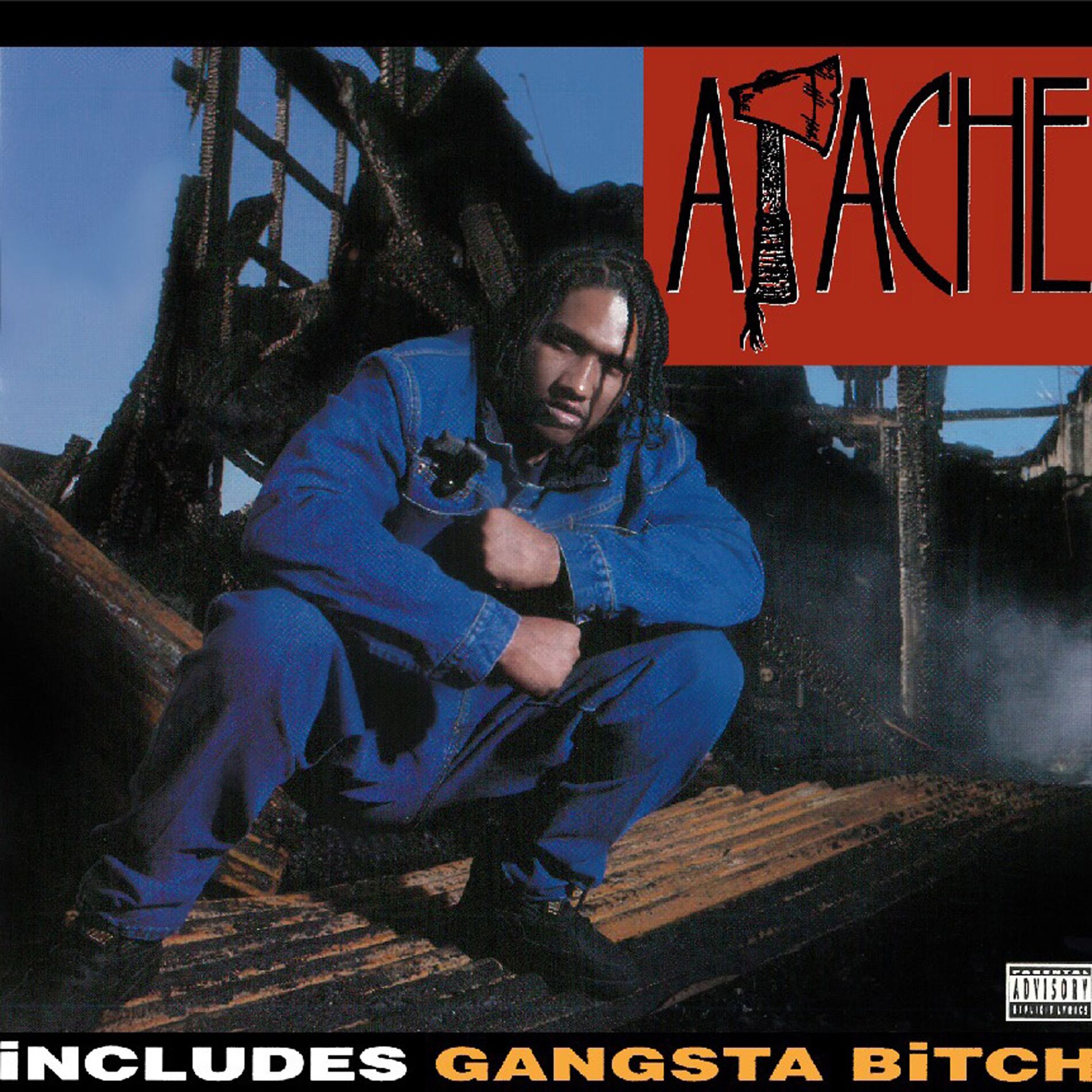 Album cover of Gangsta Bitch