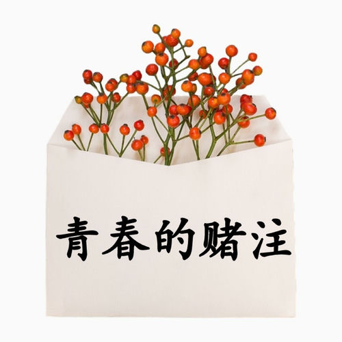 青春的赌注