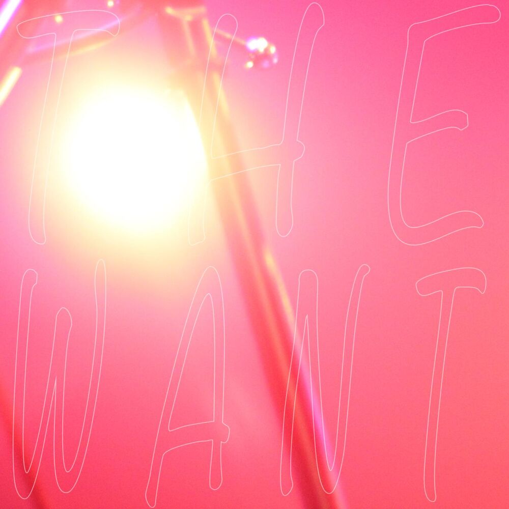 Picture of The Want