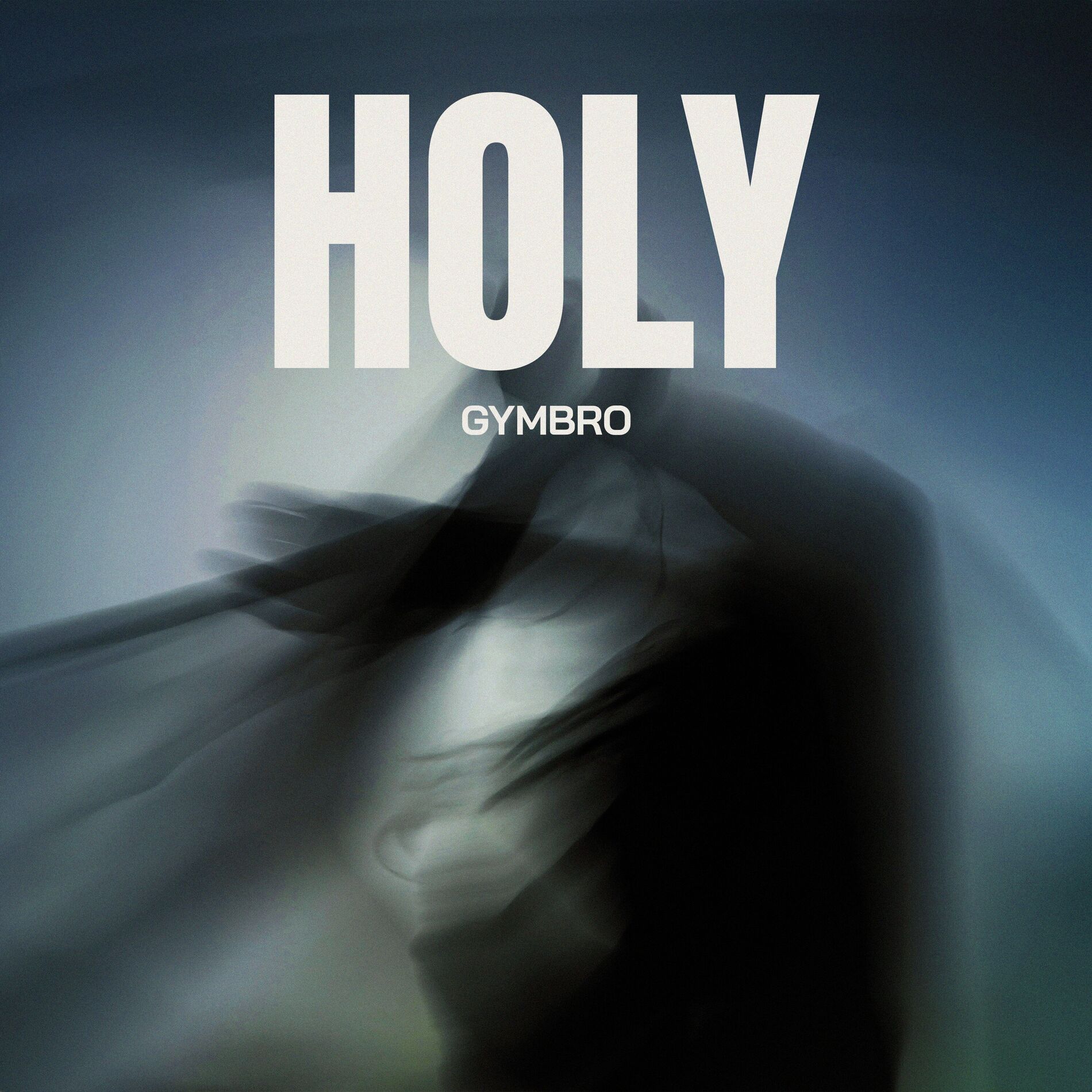 Album cover of Holy
