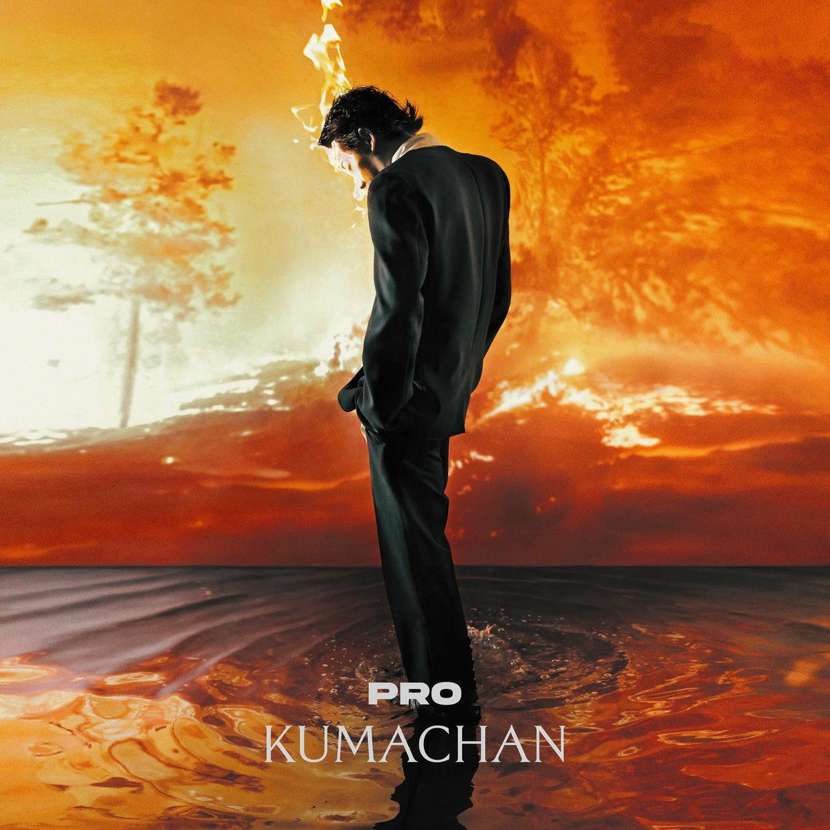 Album cover of PRO