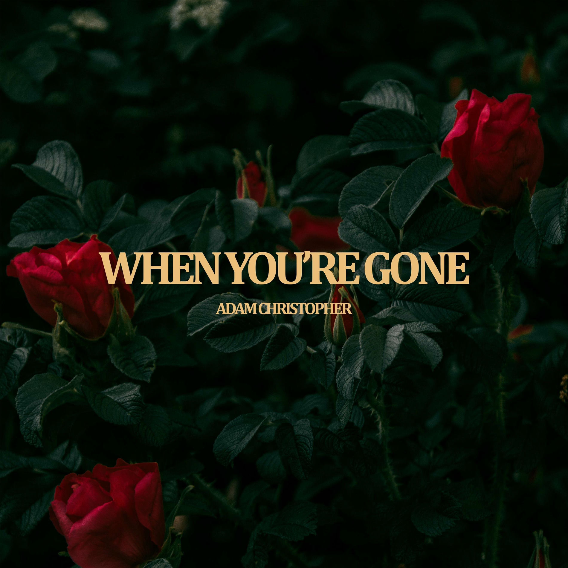 Album cover of When You're Gone (Acoustic)