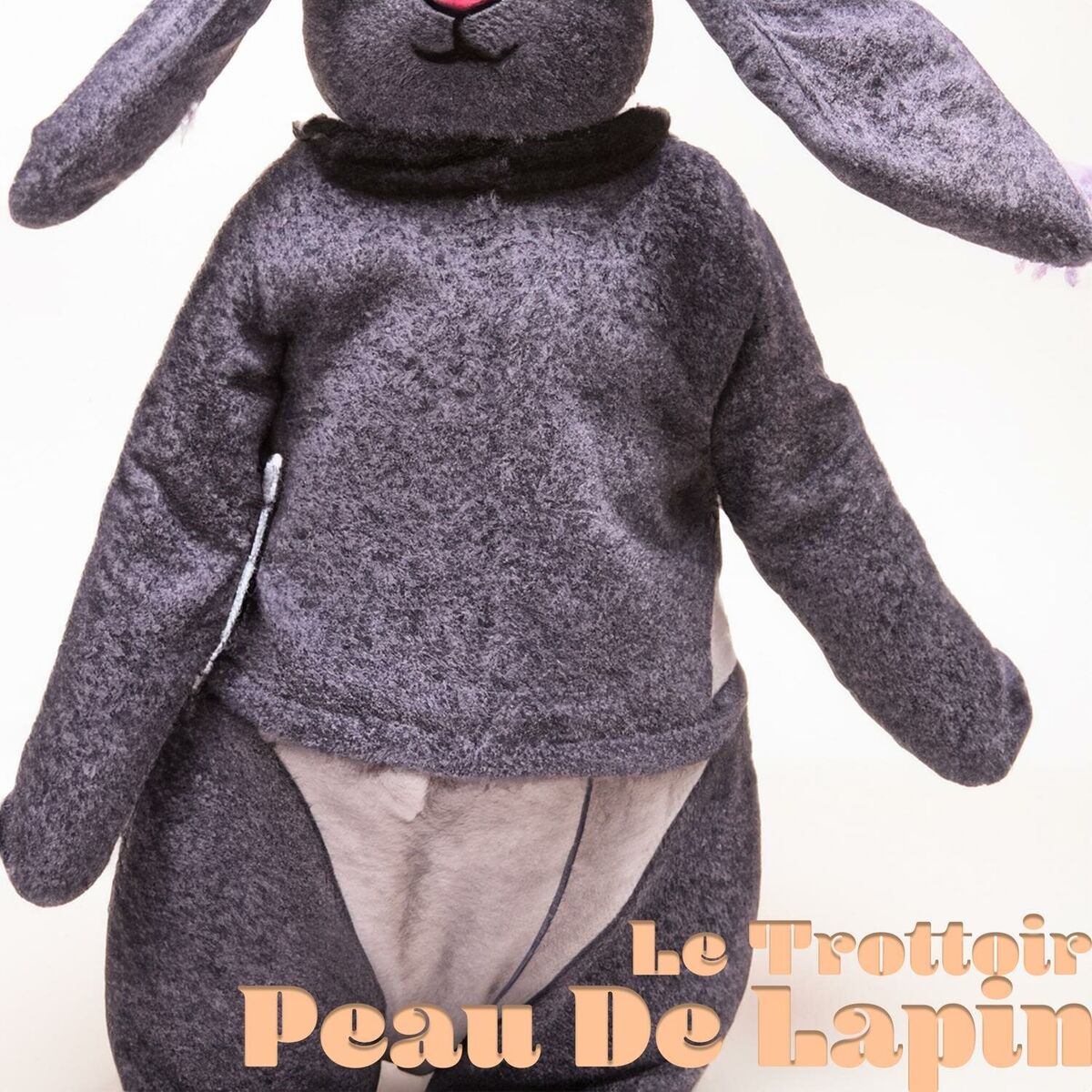 Album cover of Peau de lapin