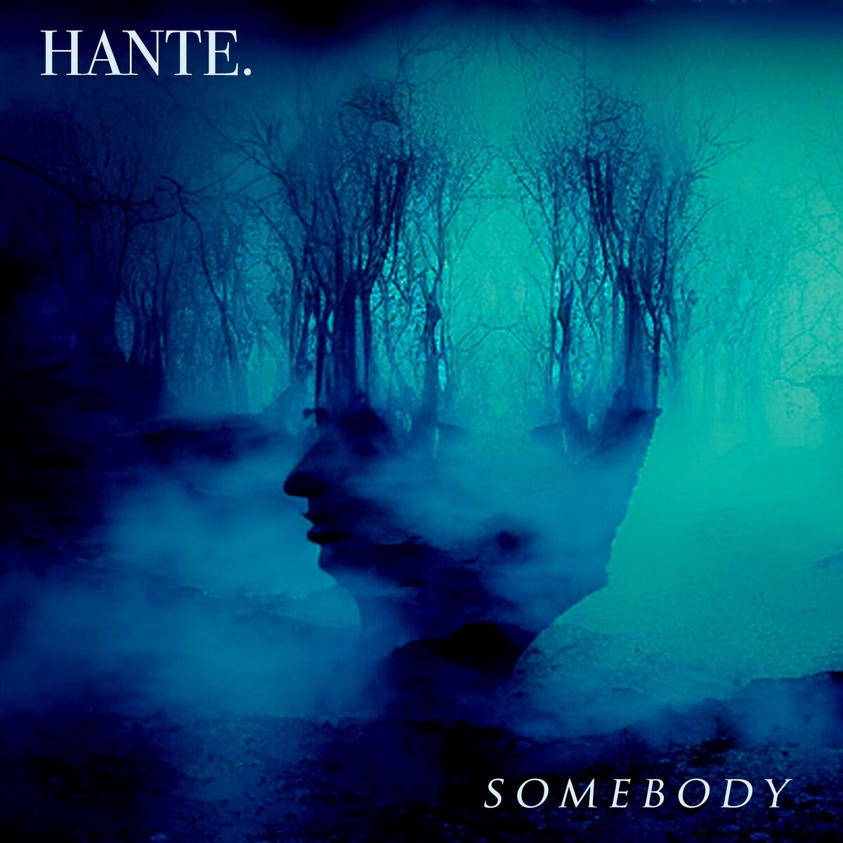Album cover of Somebody