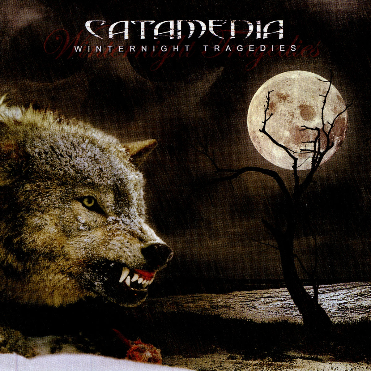Album cover of Winternight Tragedies