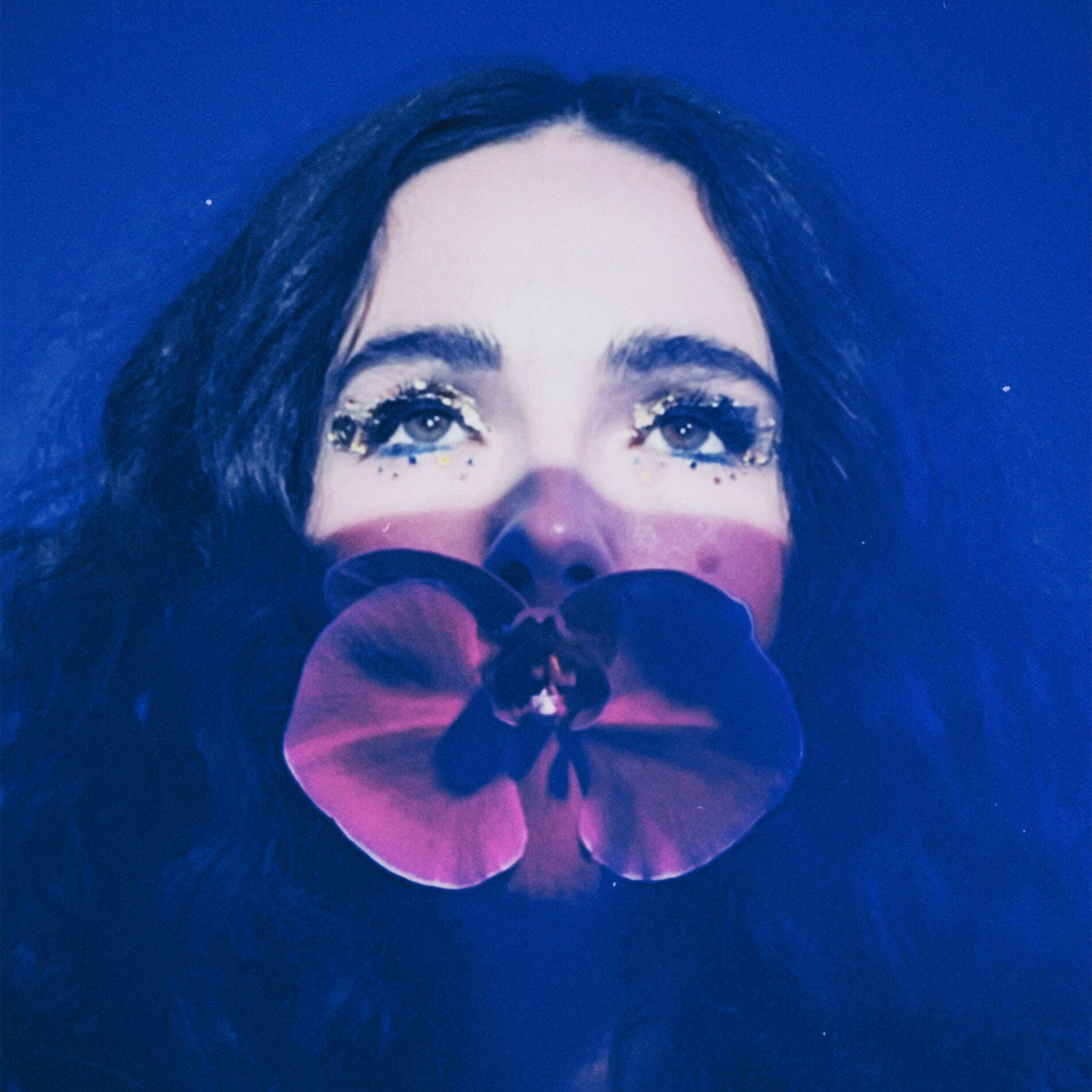 Album cover of Wild Horses