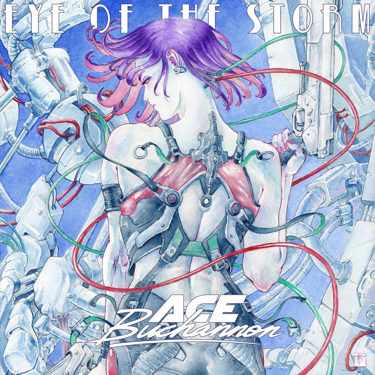 Album cover of Eye of the Storm