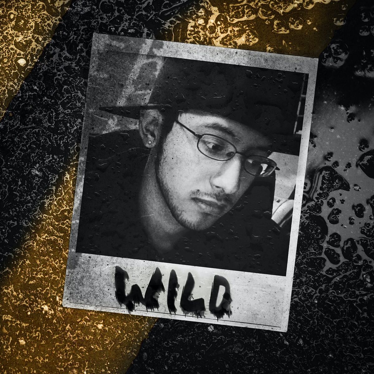 Album cover of Wild