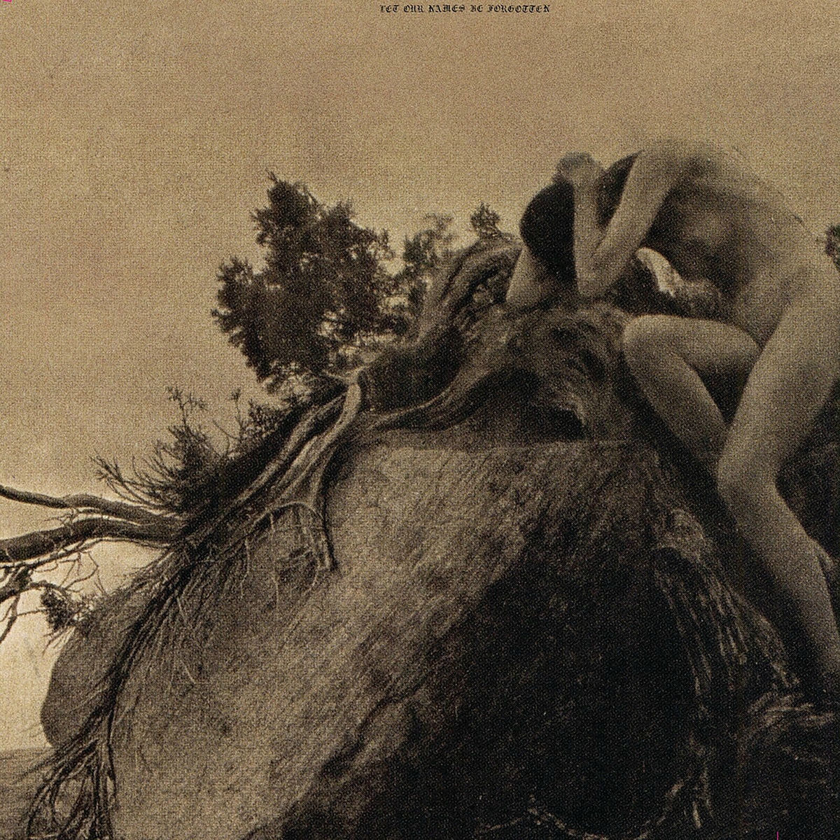 Album cover of Let Our Names Be Forgotten