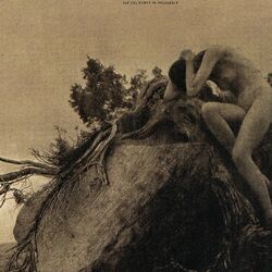 Cover of Let Our Names Be Forgotten