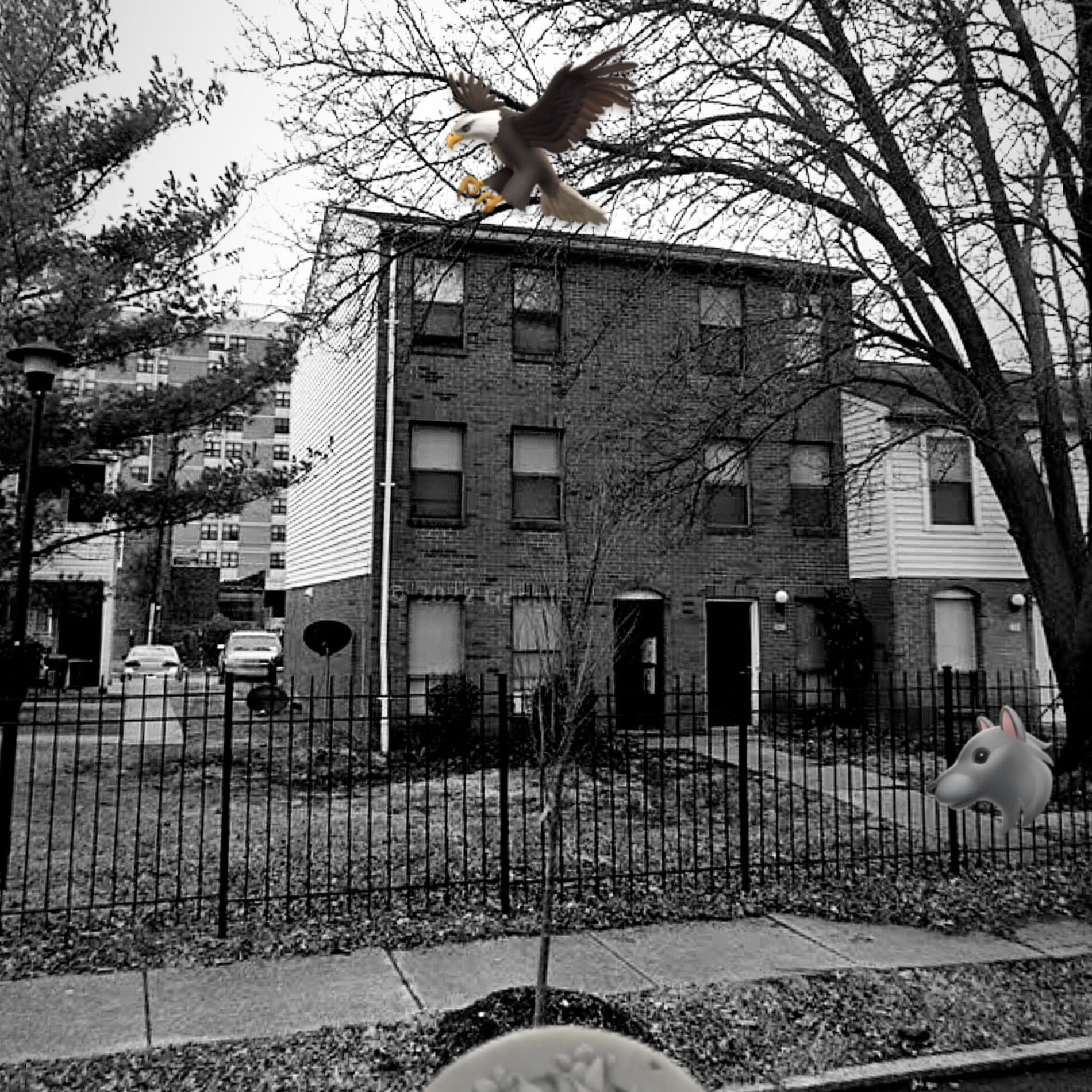 Album cover of Ville O, Ween 62