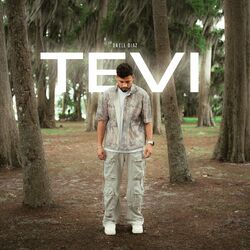 Cover of Te Vi