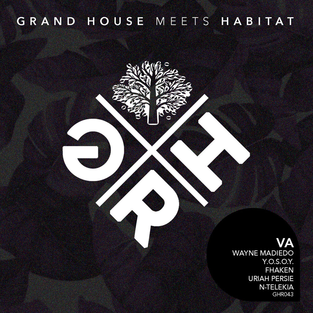 Picture of Grand House Meets Habitat