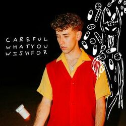 Cover of Careful What You Wish For (the doctor said to)