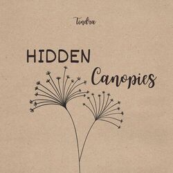 Cover of Hidden Canopies