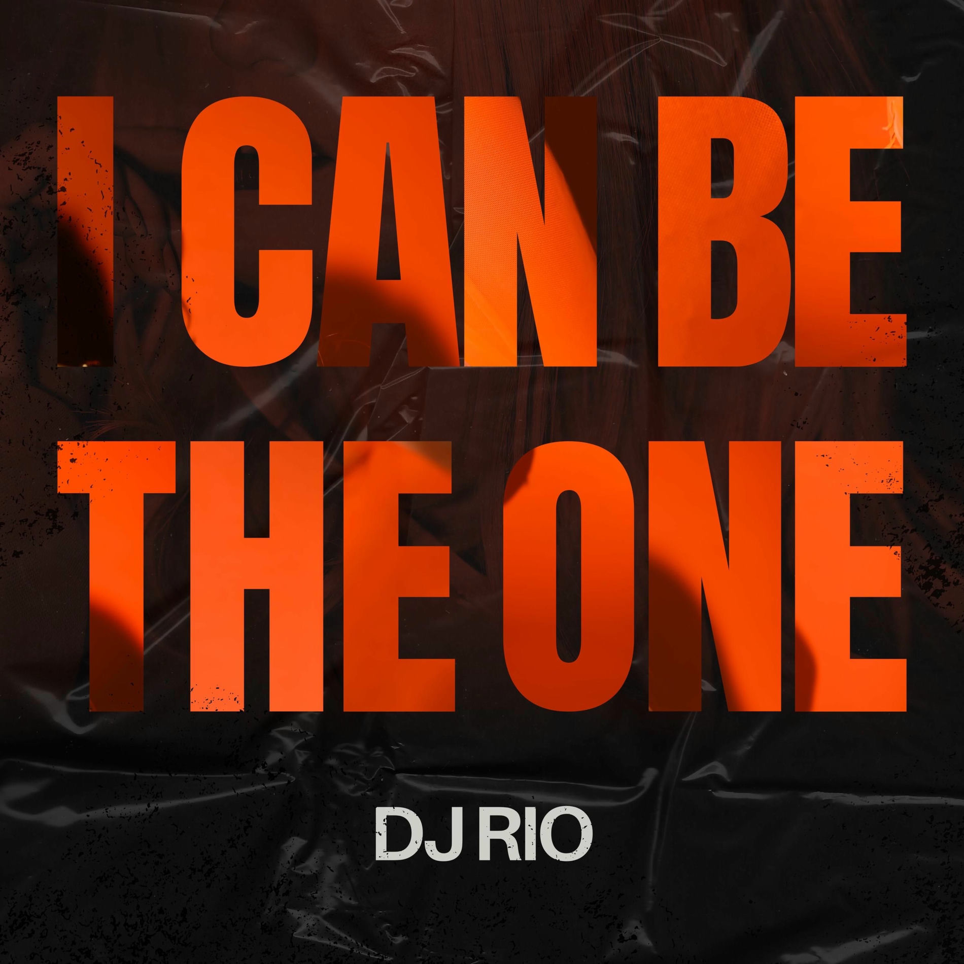 Album cover of I Can Be the One