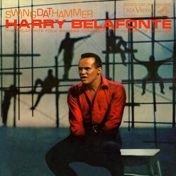 Cover of Swing Dat Hammer