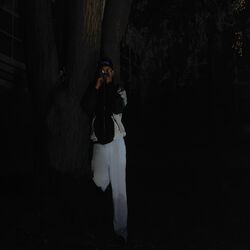 Cover of Tanic