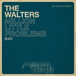 Cover of Million Little Problems