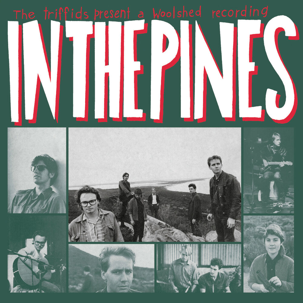 Picture of In the Pines