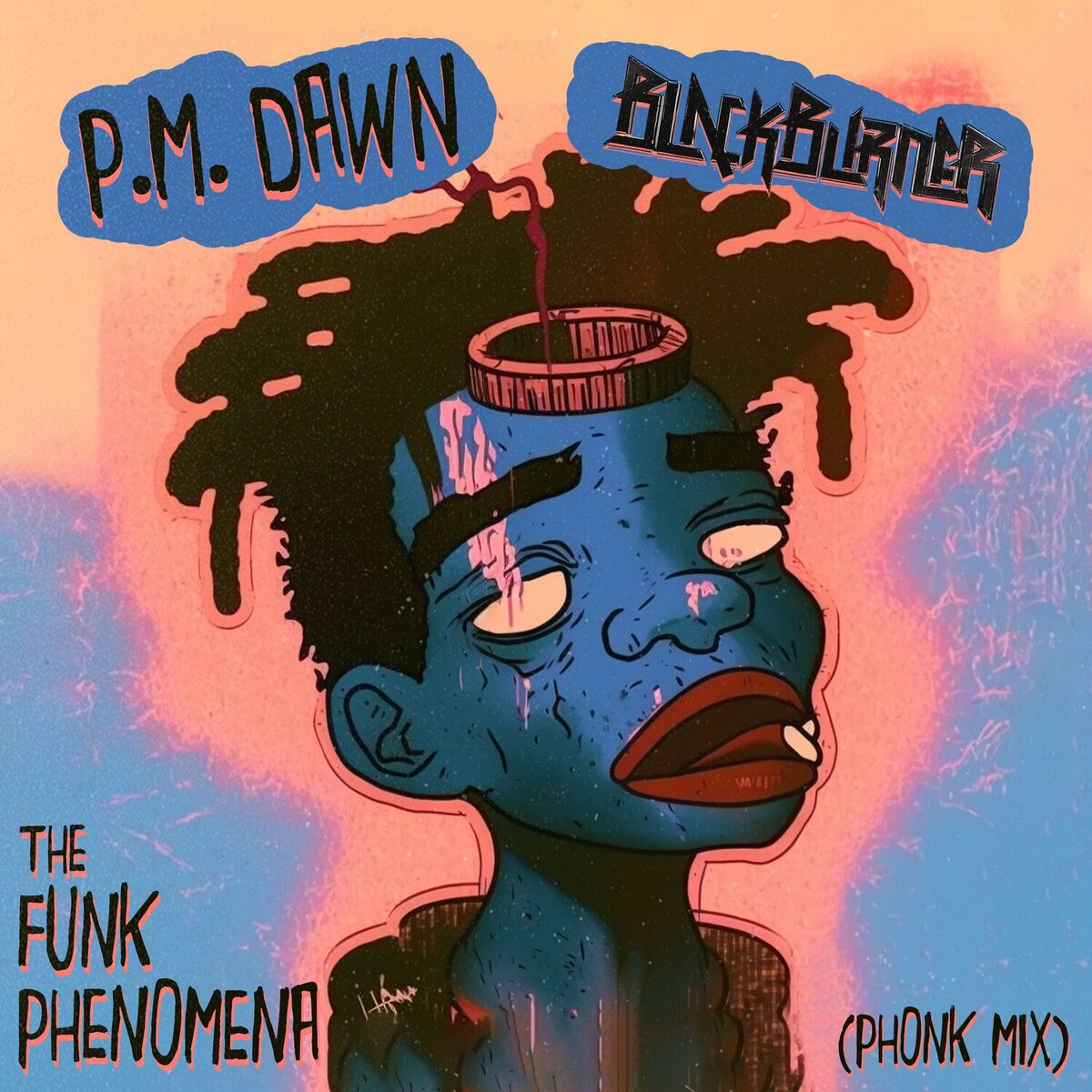 Album cover of The Funk Phenomena