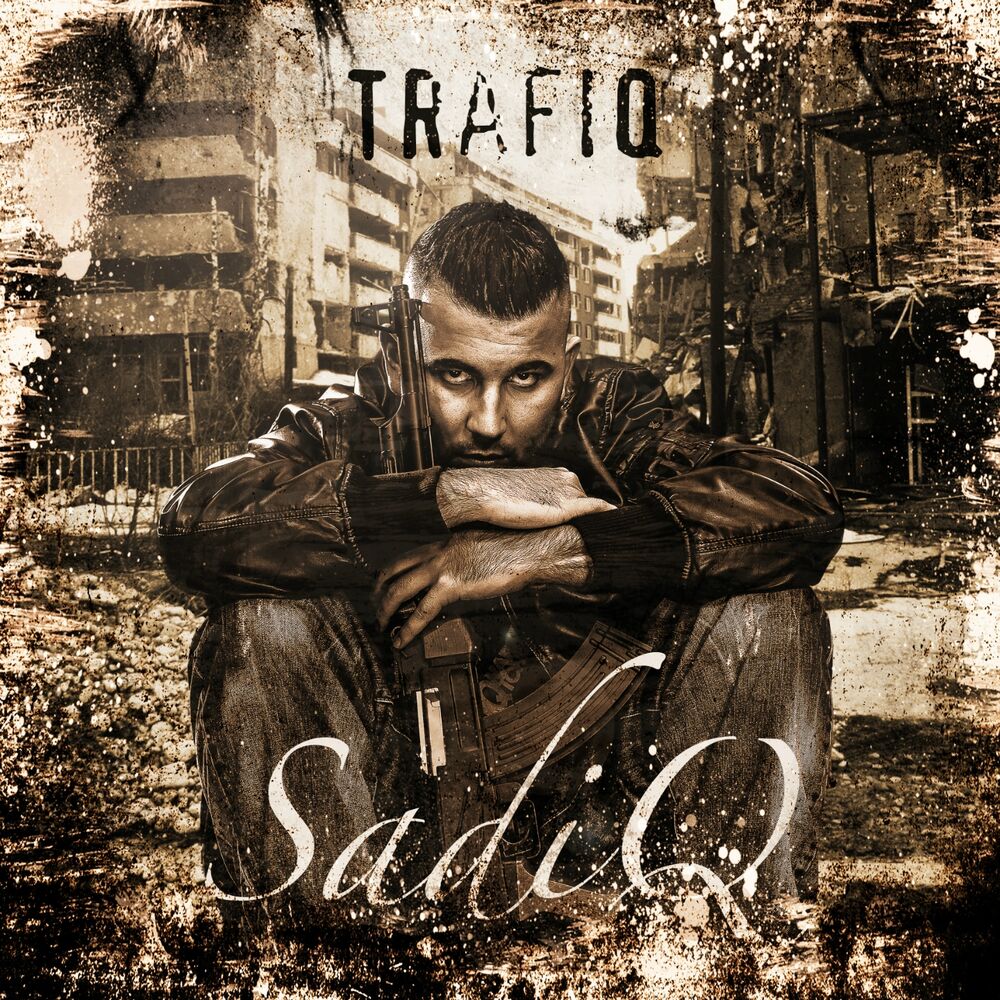 Picture of TrafiQ (Standard Edition)