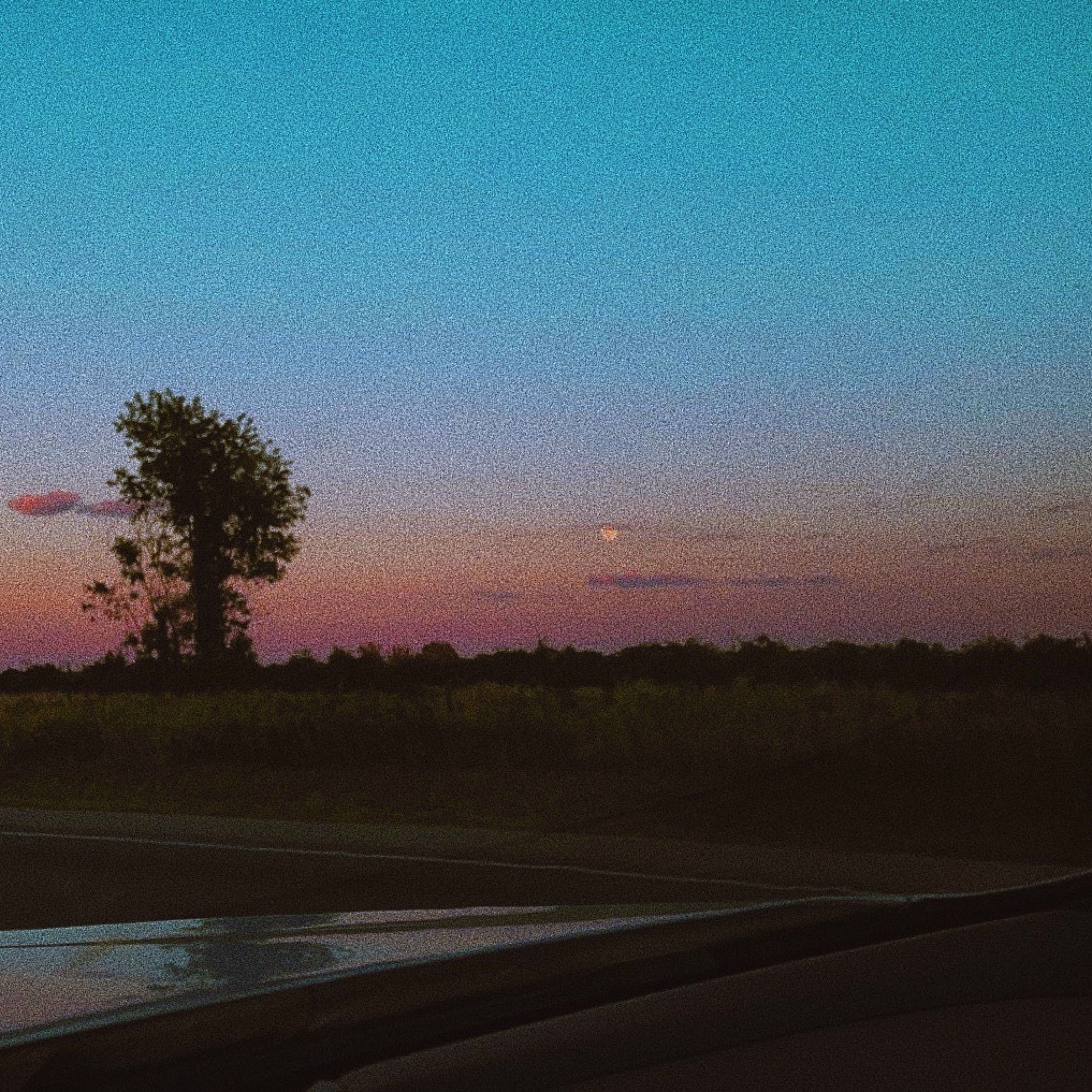 Album cover of if you go, i'll stay