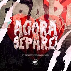 Cover of Agora Me Separei