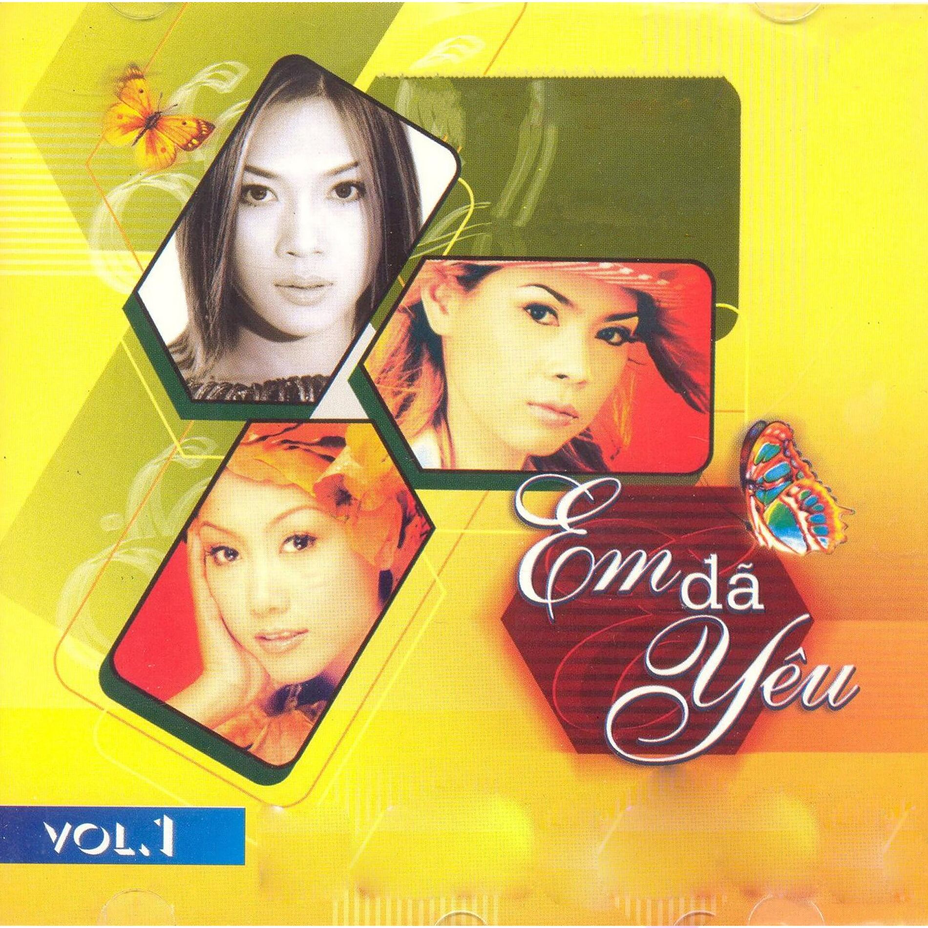Album cover of Em Đã Yêu