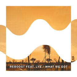 Cover of What We Got