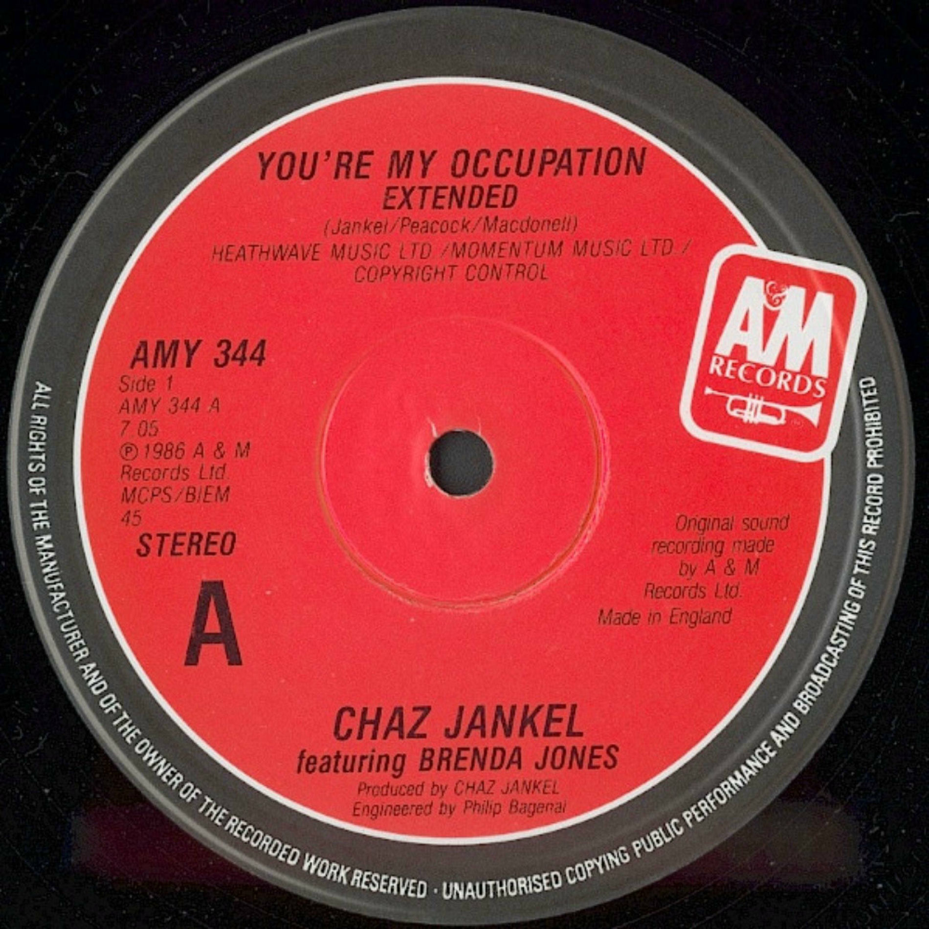 Album cover of You're My Occupation (feat. Chaz Jankel)