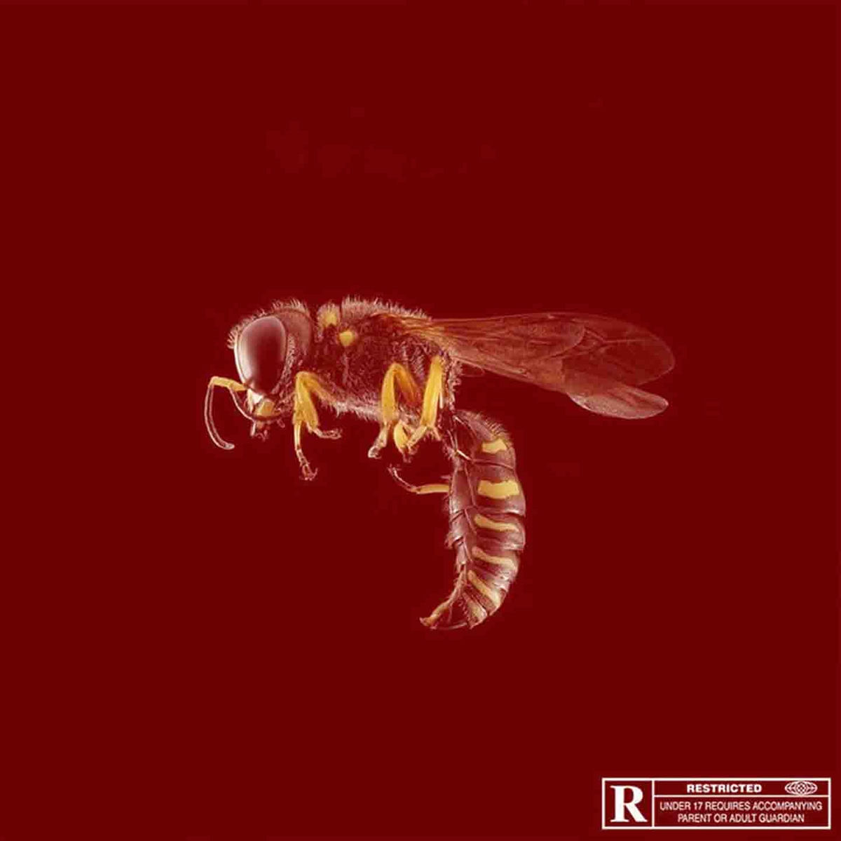 Album cover of Dingue