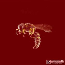 Cover of Dingue (Remix)