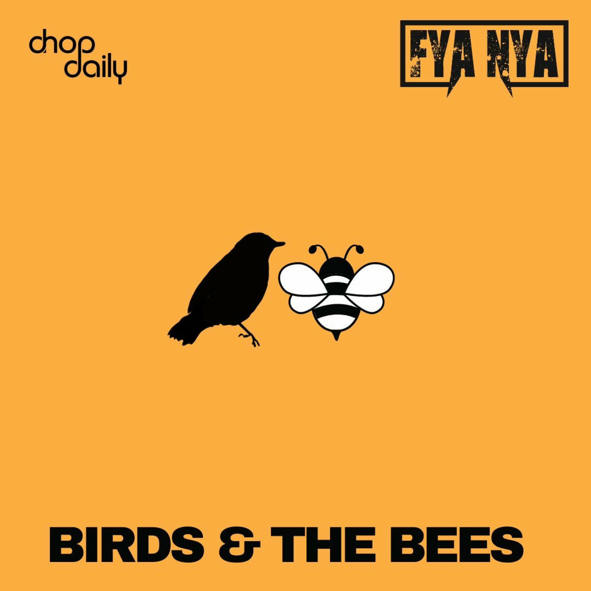 Album cover of Birds & the Bees