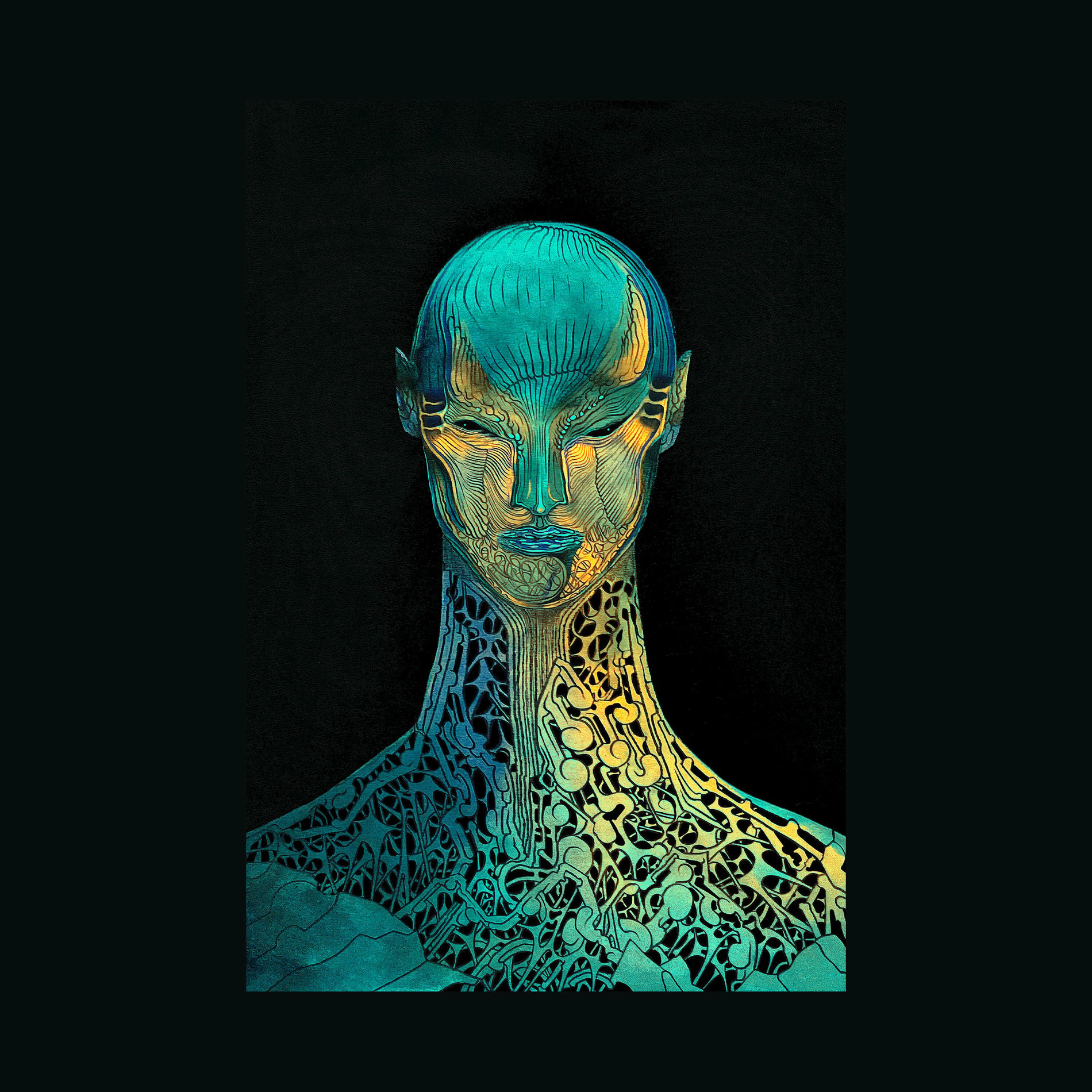 Album cover of shani