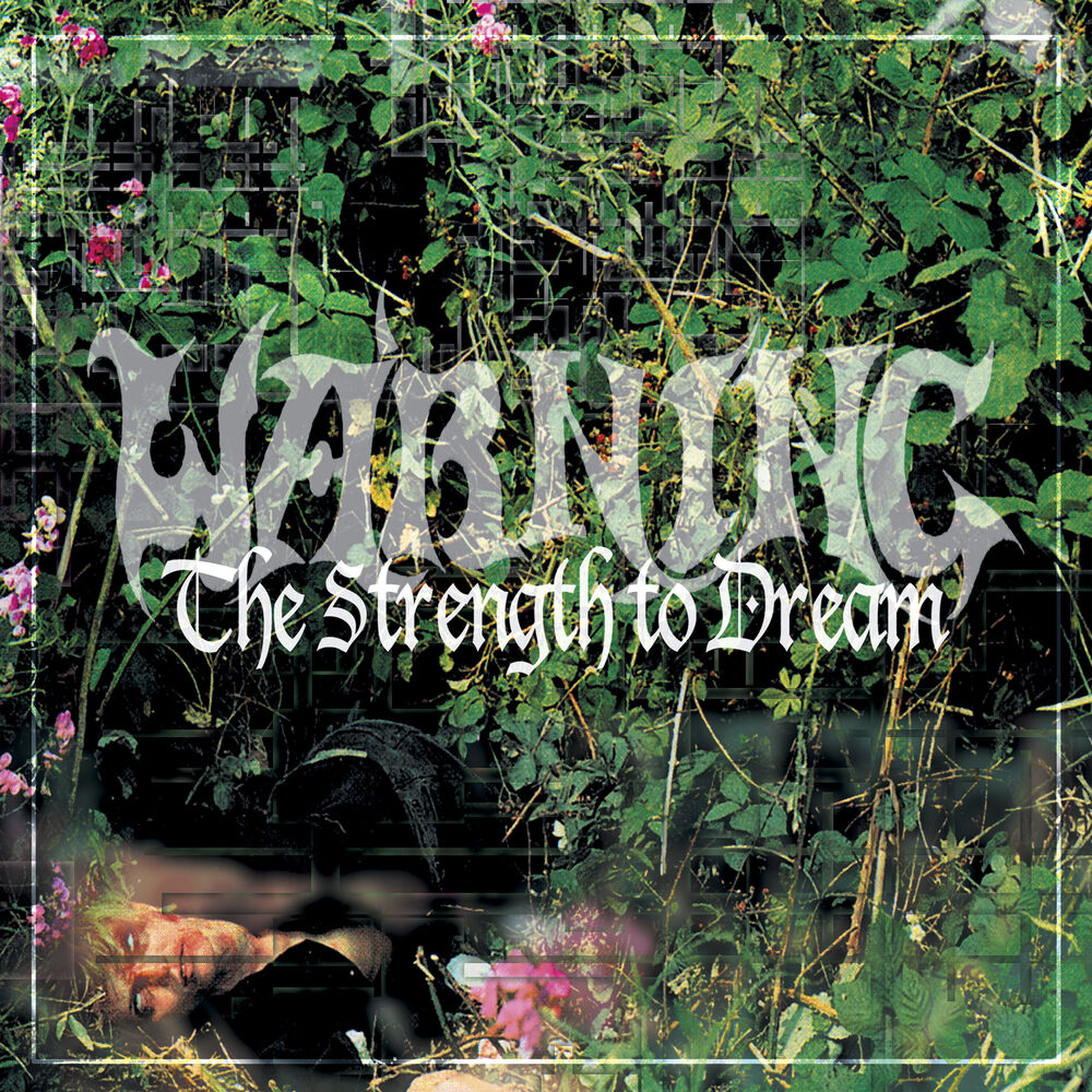 Picture of The Strength to Dream