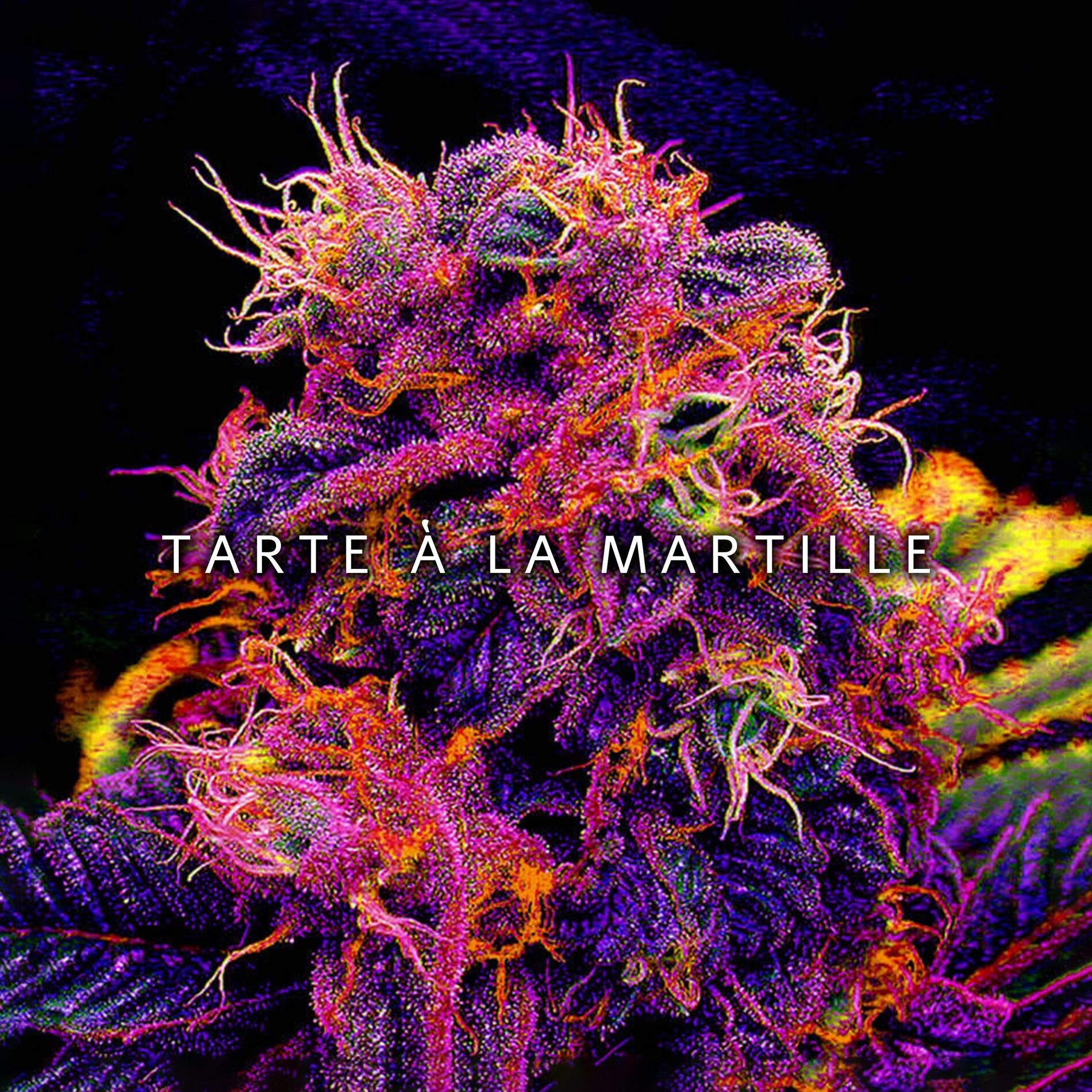 Album cover of Tarte à la myrtille