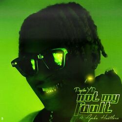 Cover of Not My Fault