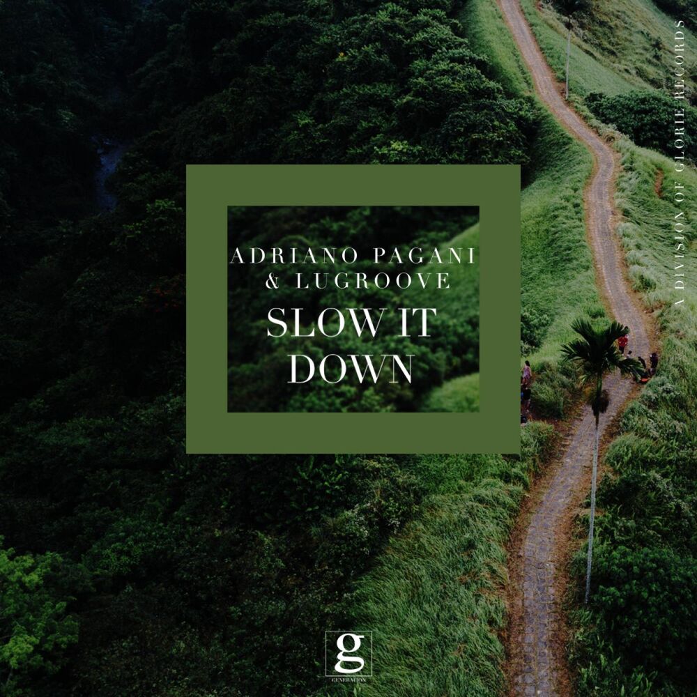 Picture of Slow It Down