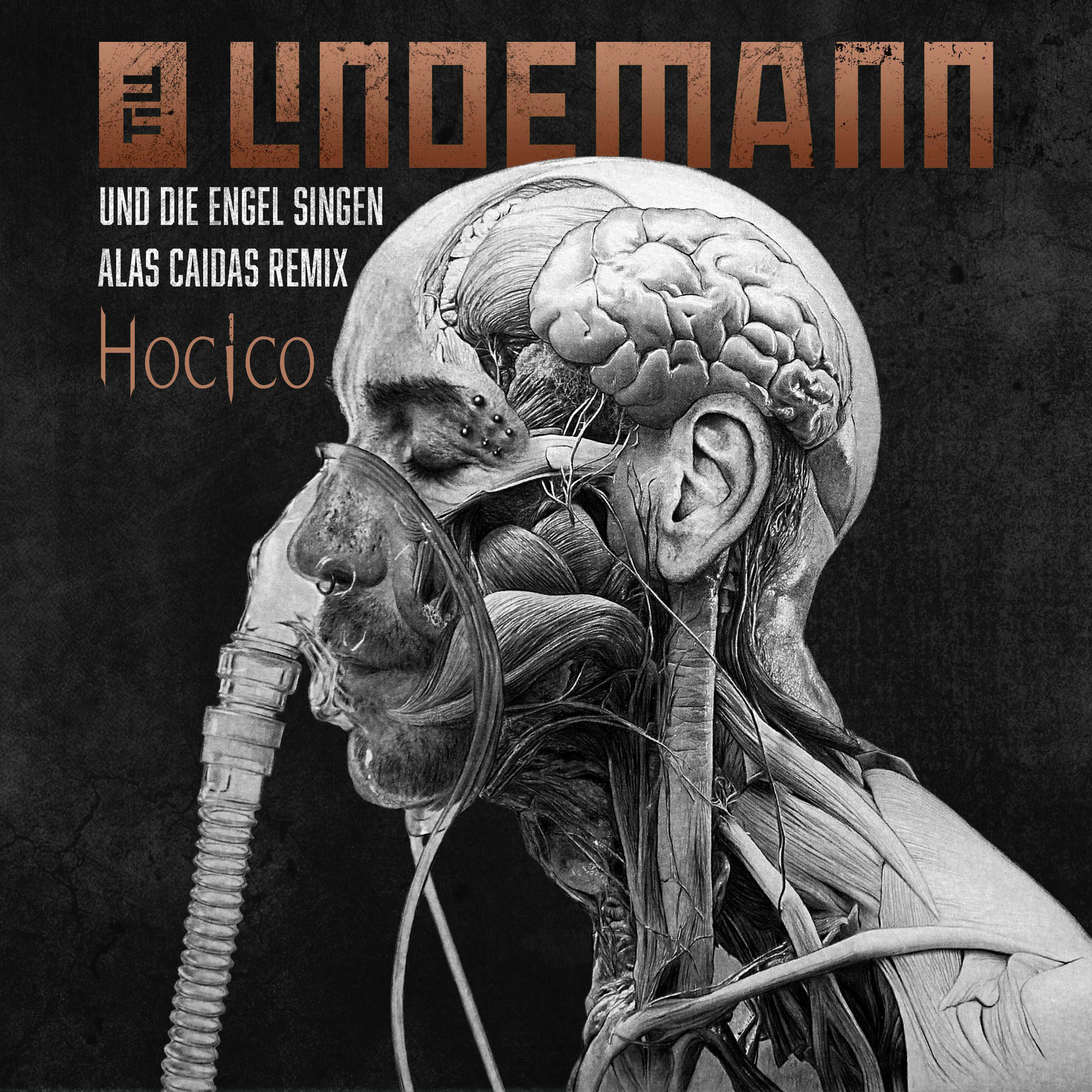 Album cover of Und die Engel singen