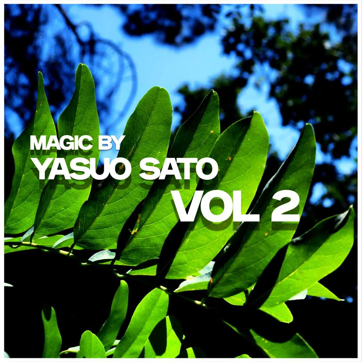 Album cover of Magic by Yasuo Sato, Vol. 2