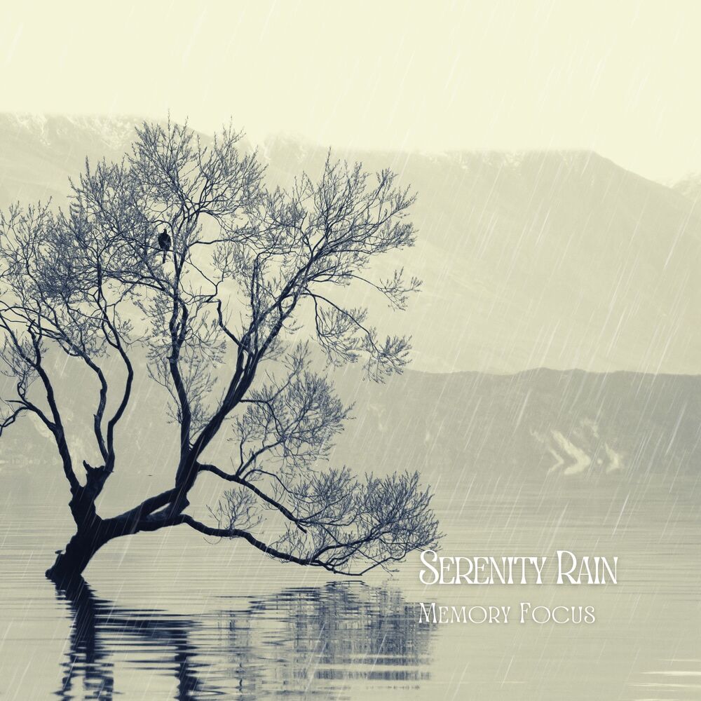 Picture of Serenity Rain: Memory Focus