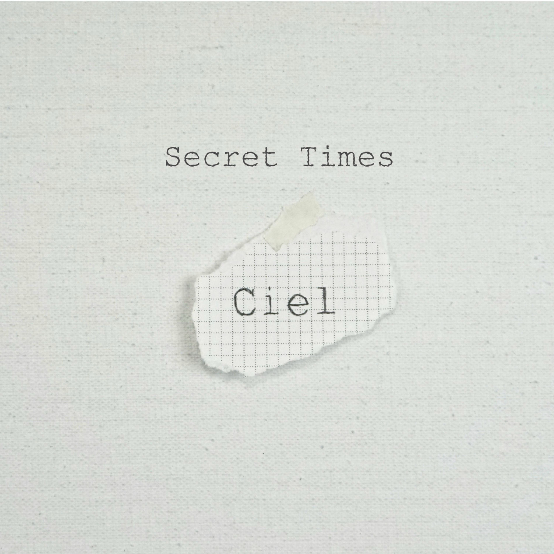 Album cover of Secret Times