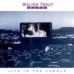 Cover of Life In The Jungle