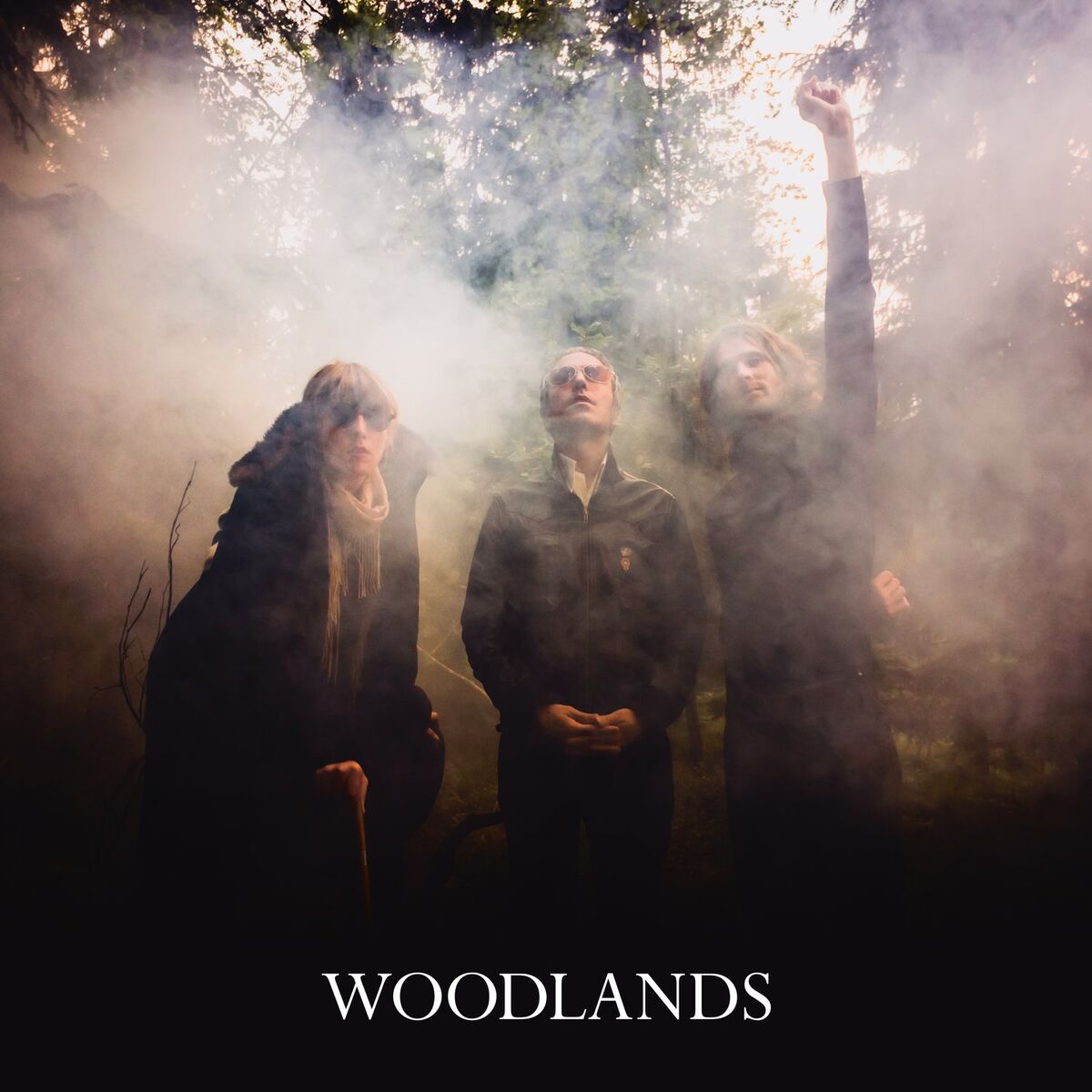 Album cover of Woodlands