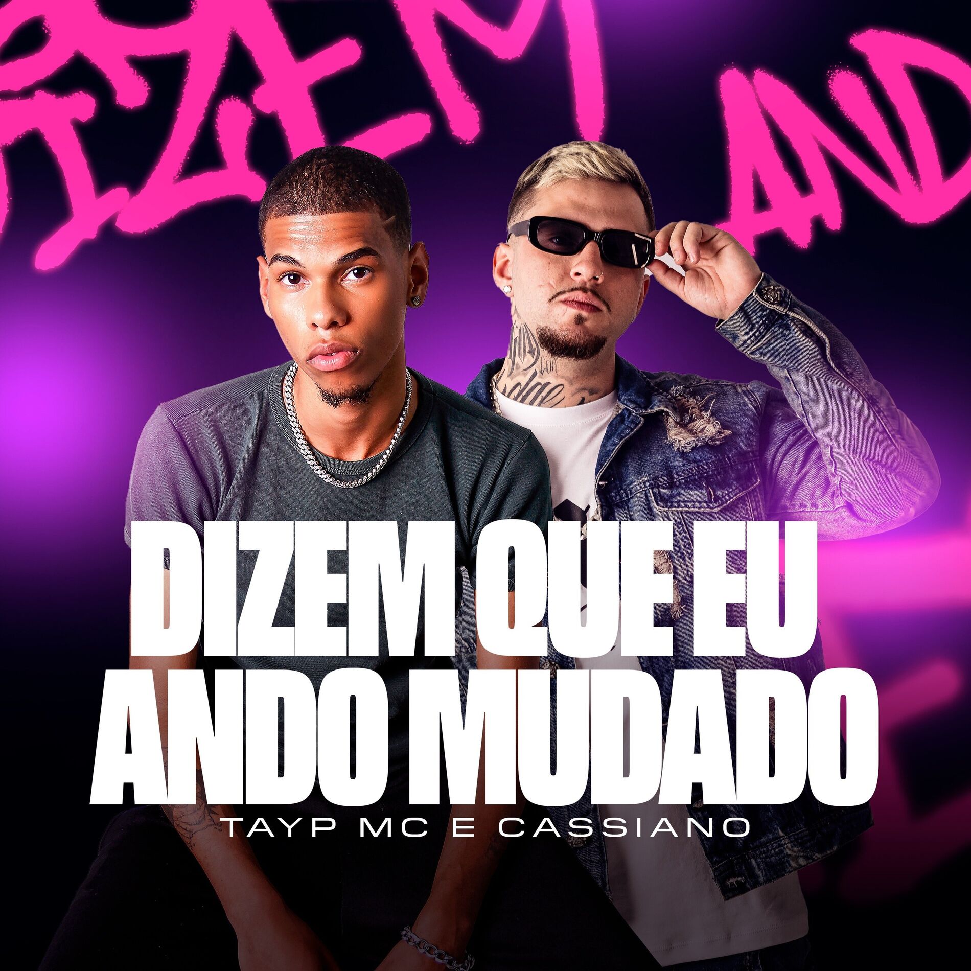 Album cover of Dizem que eu ando mudado