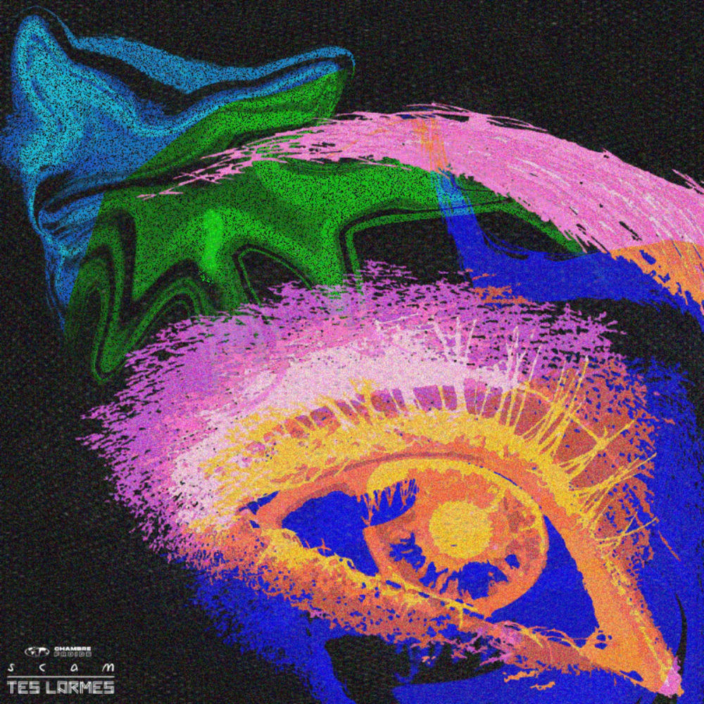 Album artwork for Tes larmes by SCAM