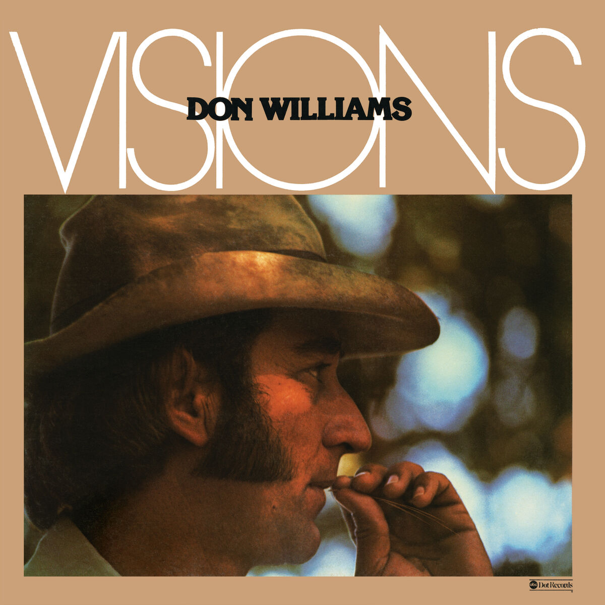 Album cover of Visions