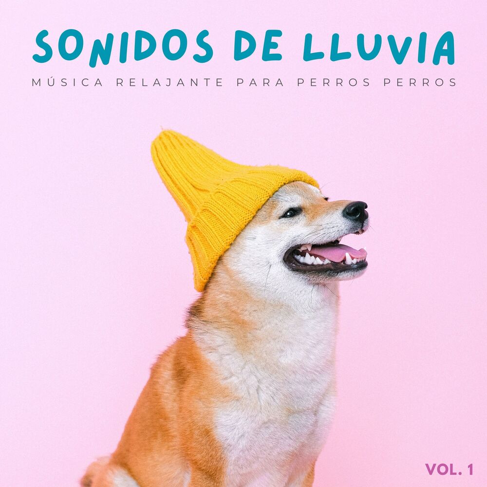 Picture of Sonidos De Lluvia: Música Relajante Para Perros Vol. 1